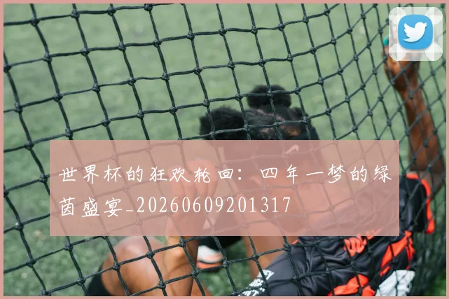 世界杯的狂欢轮回:四年一梦的绿茵盛宴_20260609201317